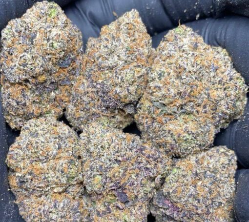 Gush Mints strain effects