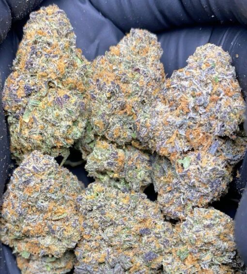 Frozen Runtz Strain