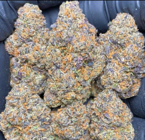 Blue Sherbert