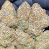 Gelato 43