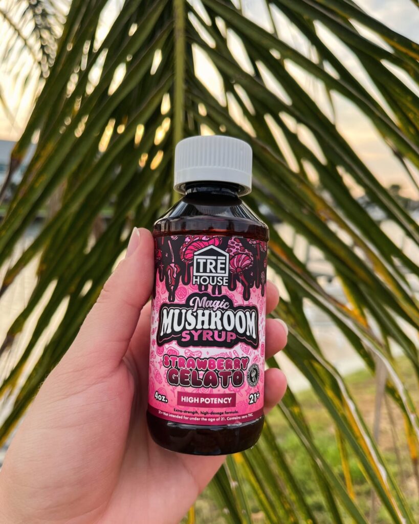 Tre House Mushroom Syrup